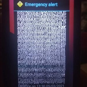 Meet your Posher, Sylvester